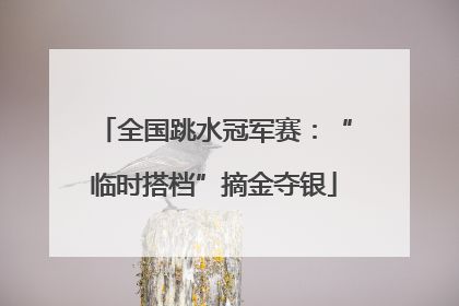 全国跳水冠军赛：“临时搭档”摘金夺银