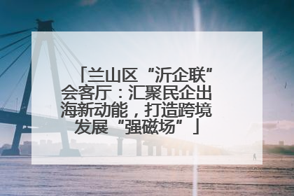 兰山区“沂企联”会客厅：汇聚民企出海新动能，打造跨境发展“强磁场”