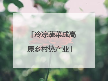 冷凉蔬菜成高原乡村热产业