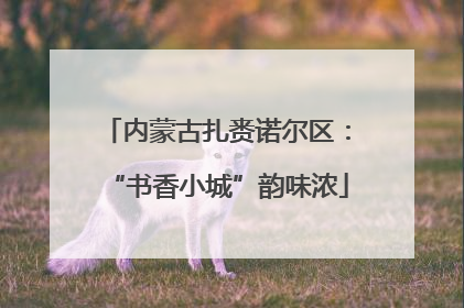 内蒙古扎赉诺尔区：“书香小城”韵味浓