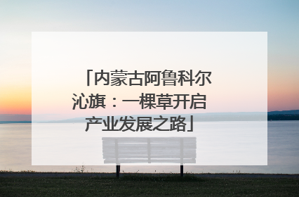 内蒙古阿鲁科尔沁旗：一棵草开启产业发展之路