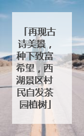 再现古诗美景，种下致富希望，西湖景区村民自发茶园植树