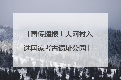 再传捷报！大河村入选国家考古遗址公园