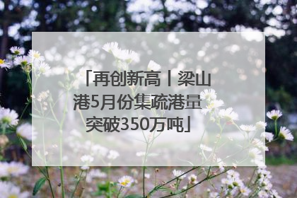 再创新高丨梁山港5月份集疏港量突破350万吨