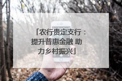 农行贵定支行：提升普惠金融 助力乡村振兴