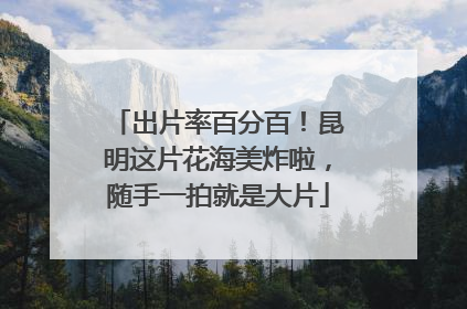 出片率百分百！昆明这片花海美炸啦，随手一拍就是大片