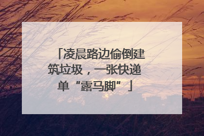 凌晨路边偷倒建筑垃圾，一张快递单“露马脚”