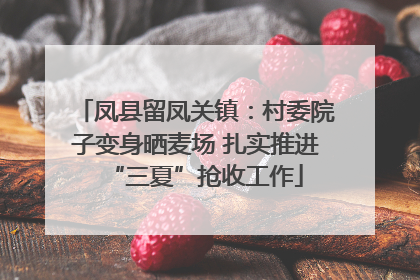 凤县留凤关镇：村委院子变身晒麦场 扎实推进“三夏”抢收工作
