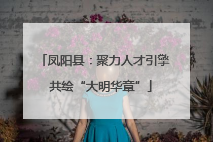 凤阳县：聚力人才引擎 共绘“大明华章”