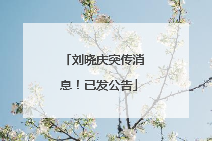 刘晓庆突传消息！已发公告
