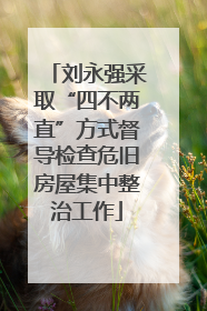 刘永强采取“四不两直”方式督导检查危旧房屋集中整治工作