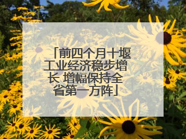 前四个月十堰工业经济稳步增长 增幅保持全省第一方阵