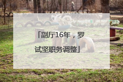 副厅16年，罗试坚职务调整