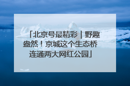 北京号最精彩｜野趣盎然！京城这个生态桥连通两大网红公园