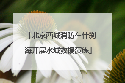 北京西城消防在什刹海开展水域救援演练