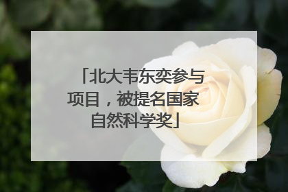 北大韦东奕参与项目，被提名国家自然科学奖