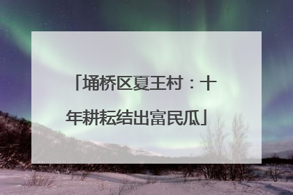 埇桥区夏王村：十年耕耘结出富民瓜