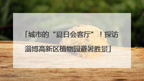 城市的“夏日会客厅”！探访淄博高新区植物园避暑胜景