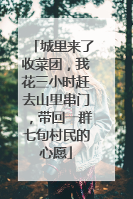城里来了收菜团，我花三小时赶去山里串门，带回一群七旬村民的心愿