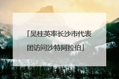 吴桂英率长沙市代表团访问沙特阿拉伯