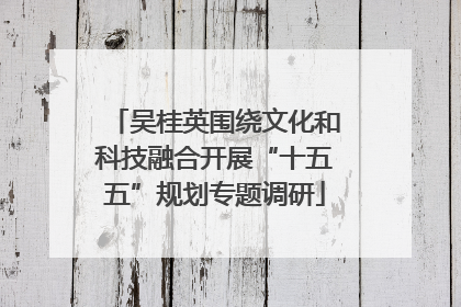 吴桂英围绕文化和科技融合开展“十五五”规划专题调研