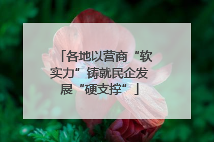 各地以营商“软实力”铸就民企发展“硬支撑”