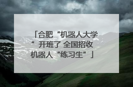 合肥“机器人大学”开班了 全国招收机器人“练习生”