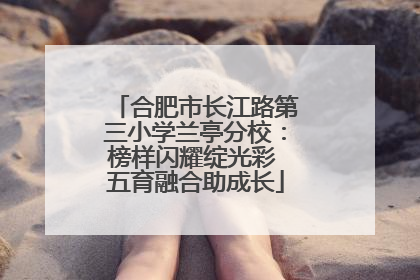 合肥市长江路第三小学兰亭分校：榜样闪耀绽光彩 五育融合助成长