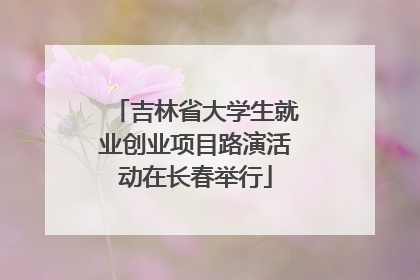 吉林省大学生就业创业项目路演活动在长春举行