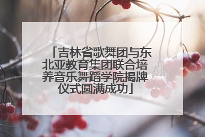 吉林省歌舞团与东北亚教育集团联合培养音乐舞蹈学院揭牌仪式圆满成功