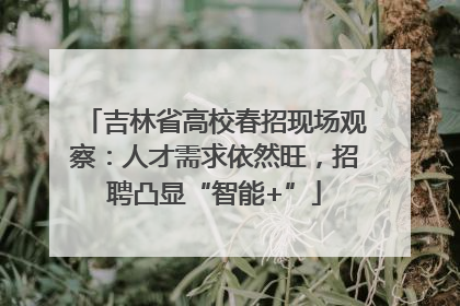 吉林省高校春招现场观察：人才需求依然旺，招聘凸显“智能+”