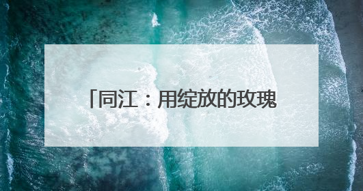 同江：用绽放的玫瑰 推动乡村经济振兴