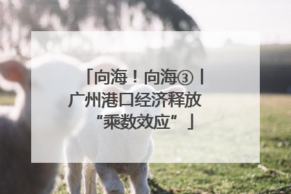 向海！向海③丨广州港口经济释放“乘数效应”