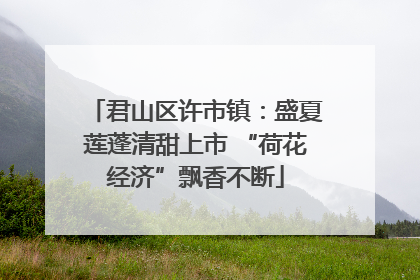 君山区许市镇：盛夏莲蓬清甜上市 “荷花经济”飘香不断
