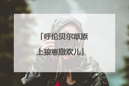 呼伦贝尔草原上狼崽撒欢儿