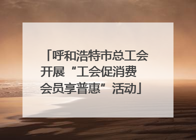 呼和浩特市总工会开展“工会促消费 会员享普惠”活动