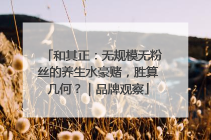 和其正：无规模无粉丝的养生水豪赌，胜算几何？｜品牌观察