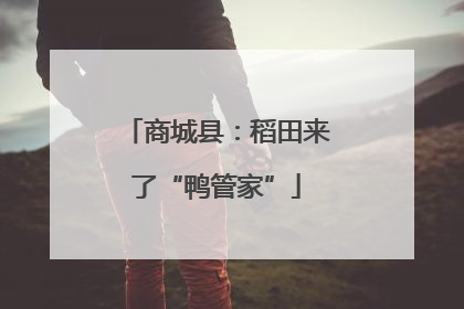 商城县：稻田来了“鸭管家”