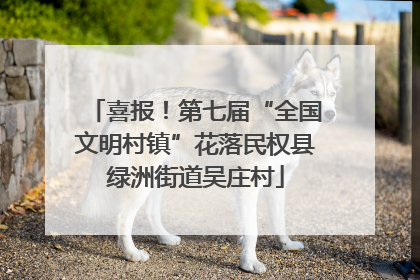 喜报！第七届“全国文明村镇”花落民权县绿洲街道吴庄村