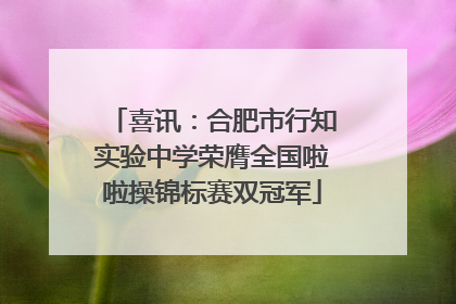 喜讯：合肥市行知实验中学荣膺全国啦啦操锦标赛双冠军