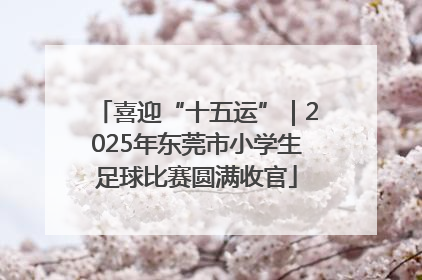 喜迎“十五运”｜2025年东莞市小学生足球比赛圆满收官