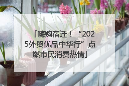 嗨购宿迁！“2025外贸优品中华行”点燃市民消费热情