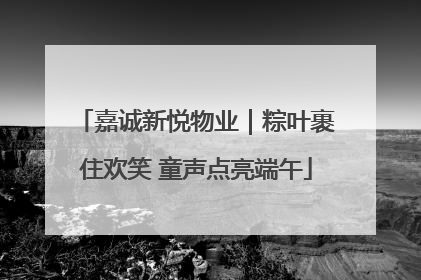 嘉诚新悦物业｜粽叶裹住欢笑 童声点亮端午