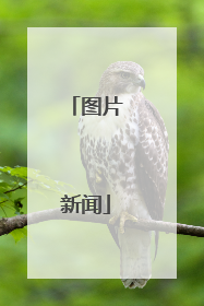 图片新闻