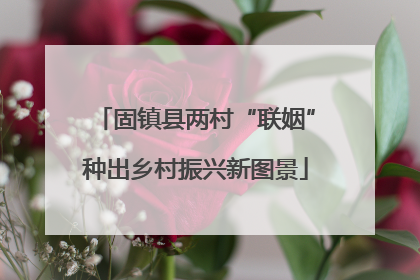 固镇县两村“联姻”种出乡村振兴新图景