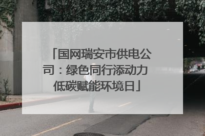 国网瑞安市供电公司：绿色同行添动力 低碳赋能环境日