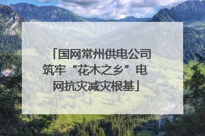 国网常州供电公司筑牢“花木之乡”电网抗灾减灾根基
