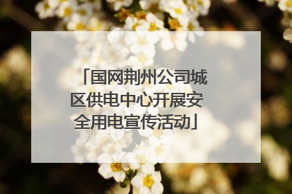 国网荆州公司城区供电中心开展安全用电宣传活动