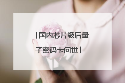 国内芯片级后量子密码卡问世