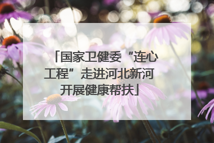 国家卫健委“连心工程”走进河北新河开展健康帮扶